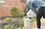 Clean A Garden Sprayer