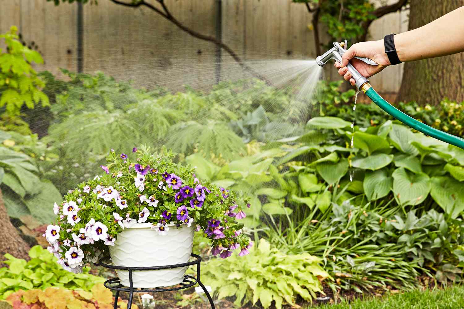 5 Best Garden Hose Nozzles of 2026 (Expert Picks)