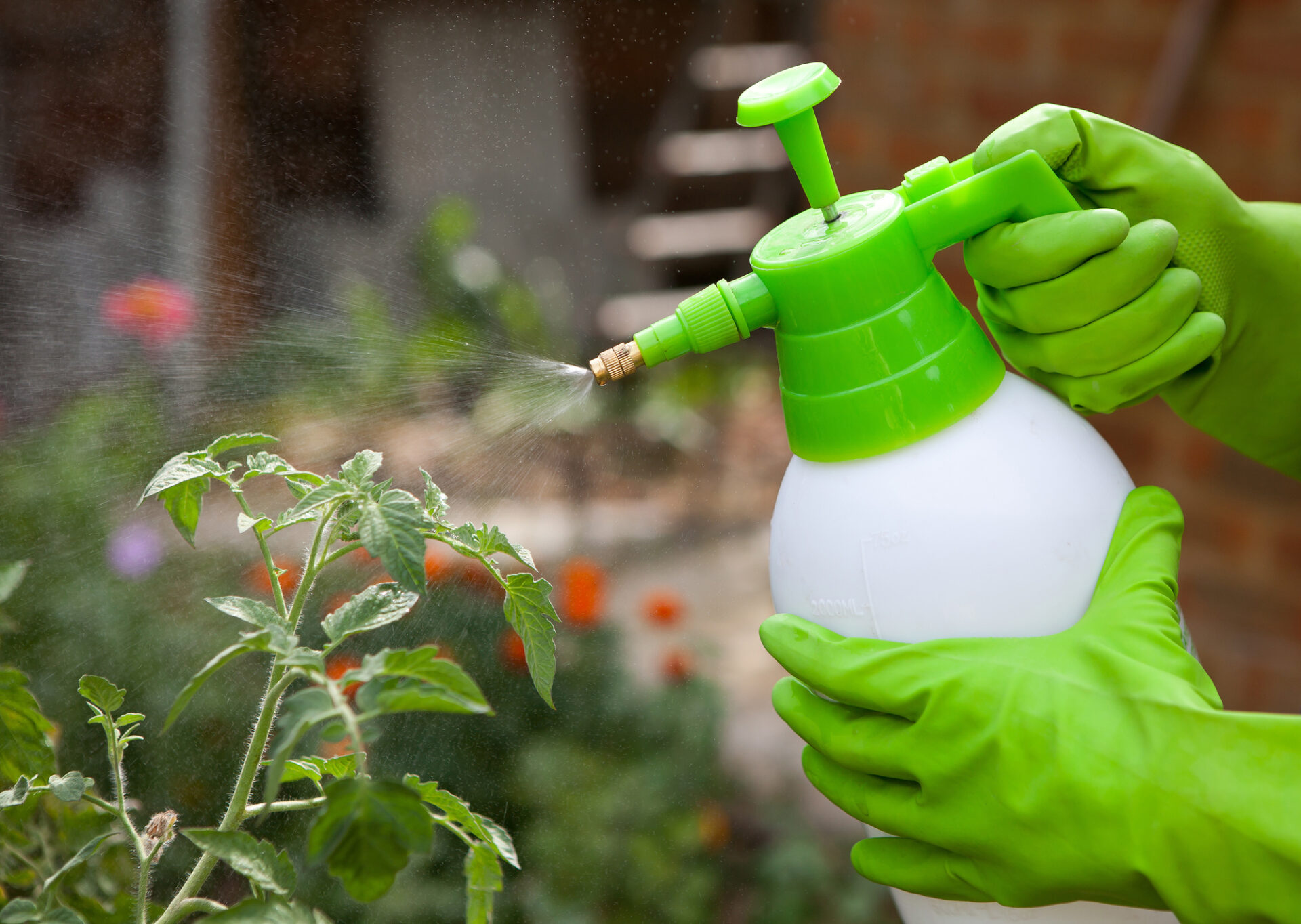5 Best Garden Sprayers for Vinegar in 2026 (Tested & Reviewed)