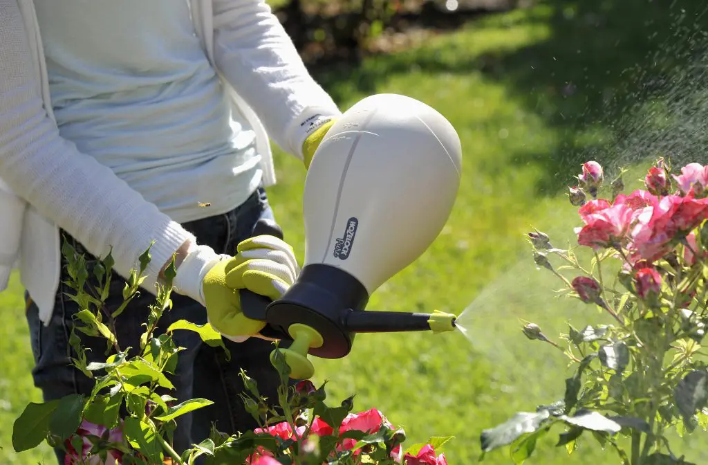 5 Best Handheld Garden Sprayers in 2026 Tested Picks