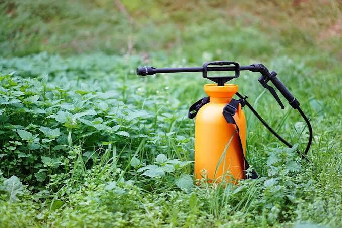 7 Best Vegetable Garden Sprayers of 2026 (Tested & Reviewed)