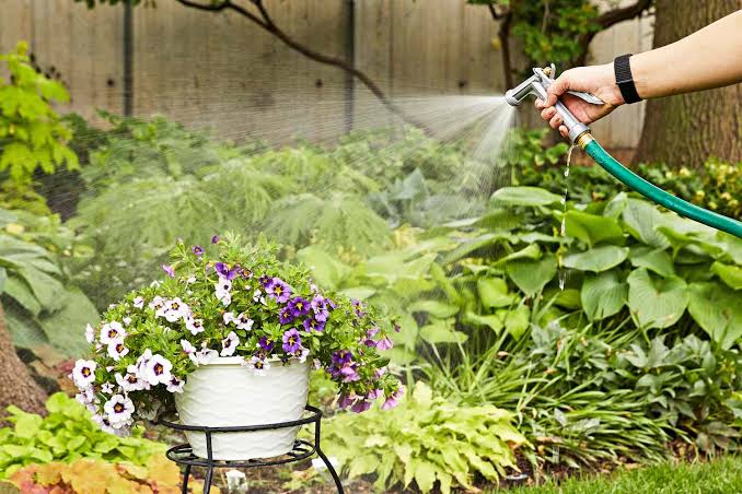 10 Best Types of Garden Sprayer Nozzles in 2026: Uses & Buying Guide