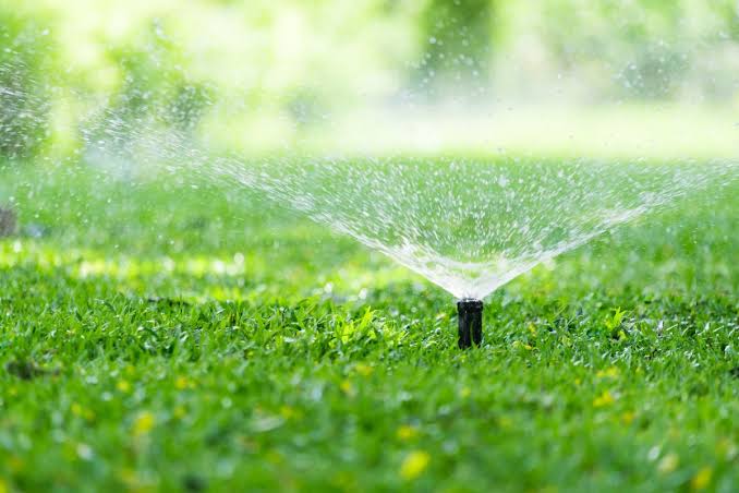 6 Best Garden Sprayer Sprinkler Combos In 2026 We've Loved