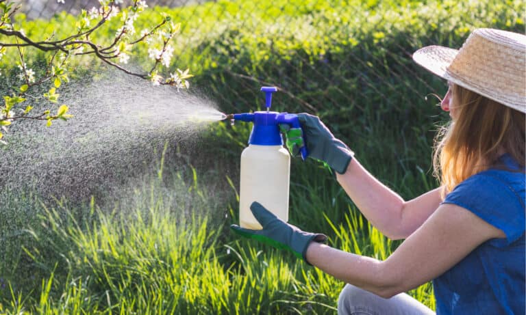 Best Garden Sprayers for Indoor Use: Types and Buying Guide