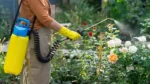 Best Insecticide Garden Sprayer