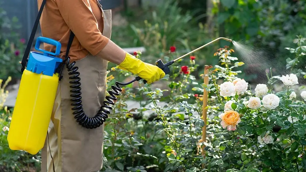Best Insecticide Garden Sprayer