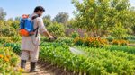 AEROMTB 4 Gallon Backpack Sprayer Review From Winter Vegetables to Guava Trees